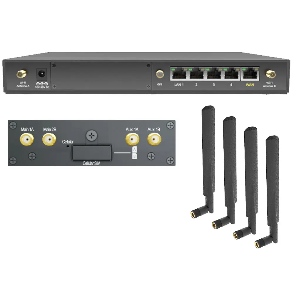 Router Peplink Balance 20X